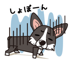 iinu - Cardigan Welsh Corgi sticker #10513222