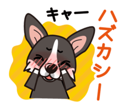 iinu - Cardigan Welsh Corgi sticker #10513224