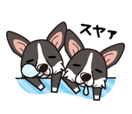 iinu - Cardigan Welsh Corgi sticker #10513226