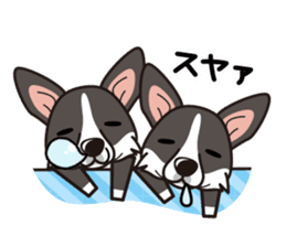 iinu - Cardigan Welsh Corgi sticker #10513226