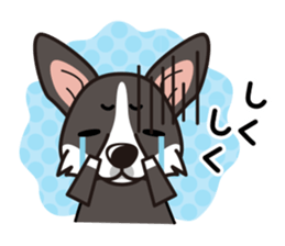 iinu - Cardigan Welsh Corgi sticker #10513231