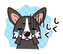 iinu - Cardigan Welsh Corgi sticker #10513231