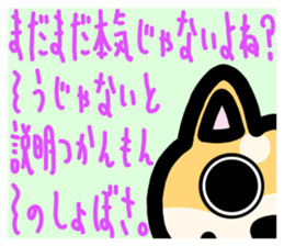 slightly & stare animals invective ver. sticker #10513878