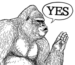 Gorilla gorilla gorilla 6 sticker #10515121