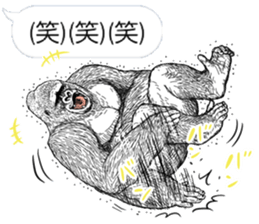 Gorilla gorilla gorilla 6 sticker #10515129