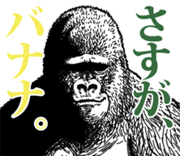 Gorilla gorilla gorilla 6 sticker #10515157