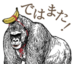 Gorilla gorilla gorilla 6 sticker #10515158