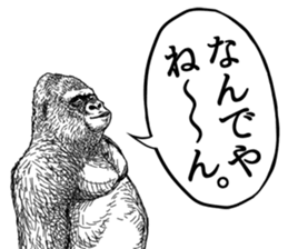 Gorilla gorilla gorilla 6 sticker #10515159
