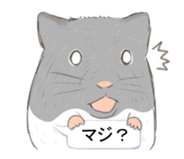 Balloon with hamster sticker #10515561