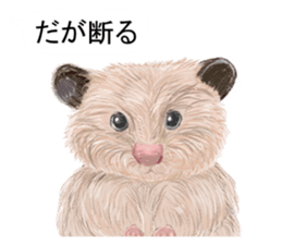 Balloon with hamster sticker #10515565