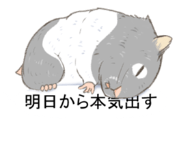 Balloon with hamster sticker #10515567