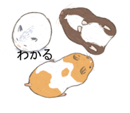 Balloon with hamster sticker #10515571