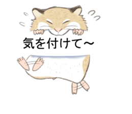 Balloon with hamster sticker #10515580