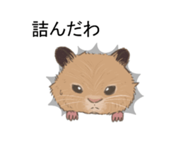 Balloon with hamster sticker #10515585