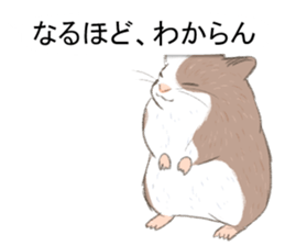 Balloon with hamster sticker #10515587