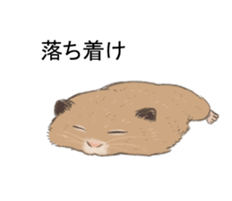 Balloon with hamster sticker #10515588