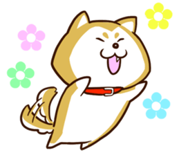 SHIBATAN sticker #10516500