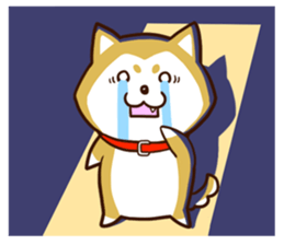 SHIBATAN sticker #10516505