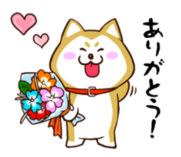 SHIBATAN sticker #10516508