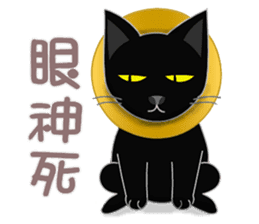 Black Cat's Daily Life sticker #10517906