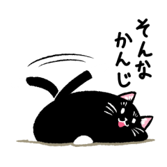 Percy of the black cat
