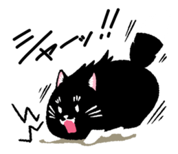 Percy of the black cat sticker #10518585