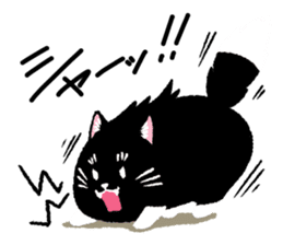 Percy of the black cat sticker #10518585