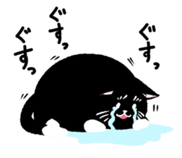 Percy of the black cat sticker #10518590
