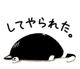 Percy of the black cat sticker #10518592