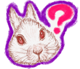 RabbitTime. sticker #10519885