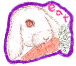 RabbitTime. sticker #10519888