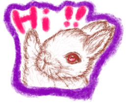 RabbitTime. sticker #10519890