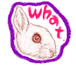 RabbitTime. sticker #10519893