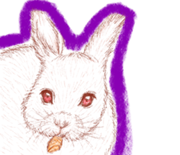 RabbitTime. sticker #10519900