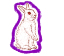 RabbitTime. sticker #10519902