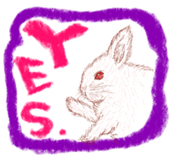 RabbitTime. sticker #10519912