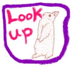 RabbitTime. sticker #10519918