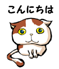 Real cat3 sticker #10521720