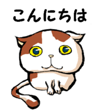 Real cat3 sticker #10521720