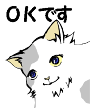 Real cat3 sticker #10521724