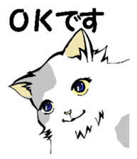 Real cat3 sticker #10521724