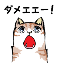 Real cat3 sticker #10521725