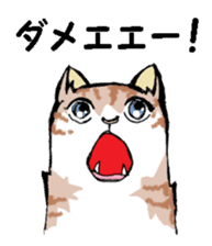 Real cat3 sticker #10521725