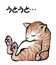 Real cat3 sticker #10521726