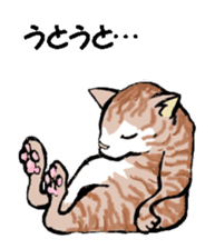 Real cat3 sticker #10521726