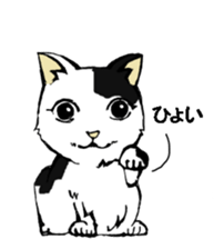 Real cat3 sticker #10521728