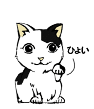 Real cat3 sticker #10521728