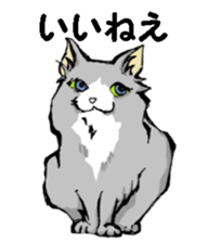 Real cat3 sticker #10521730