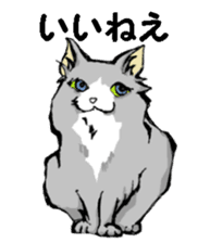 Real cat3 sticker #10521730