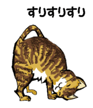 Real cat3 sticker #10521732